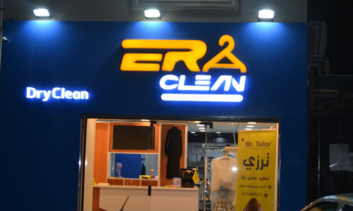 Professional Cleaning Services